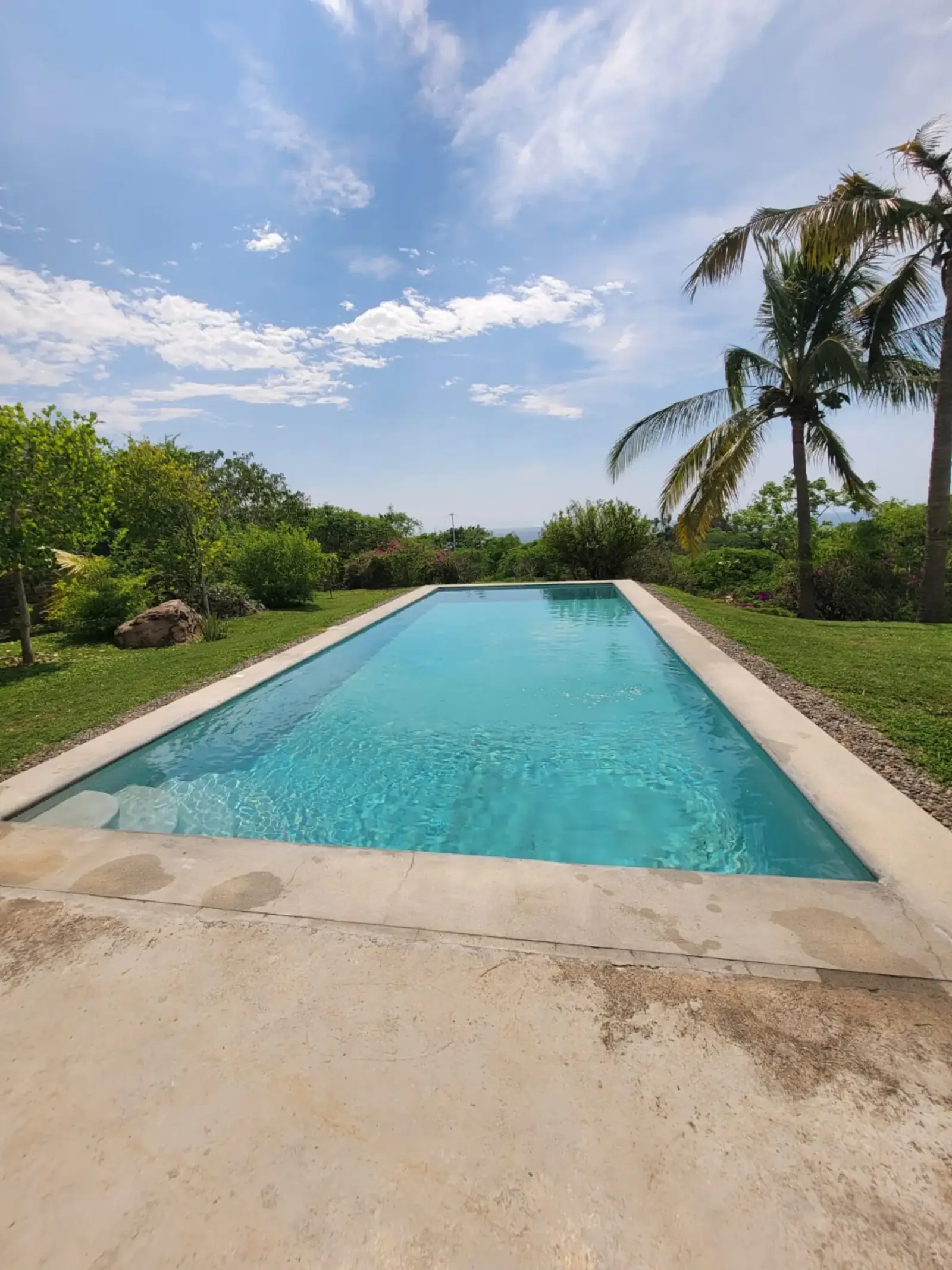 Long lap pool at Casa de Mango framed by tropical garden