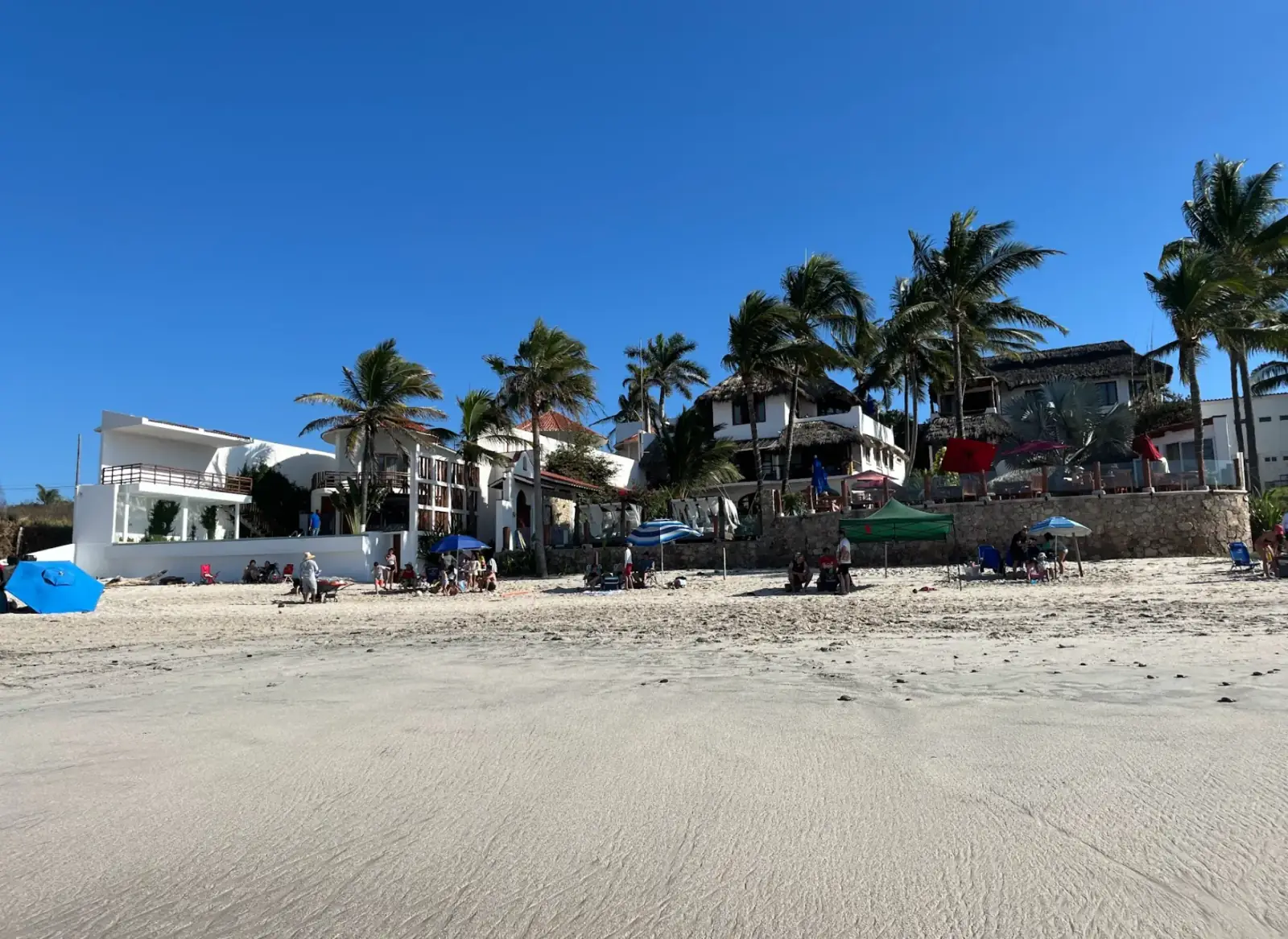 Palm trees leaning over the sand at Litibú beach